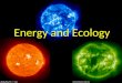 Energy and Ecology Ecosystem Components Producers – Basis of an ecosystem’s energy – Autotrophs: perform photosynthesis to make sugars – Chemotrophs: