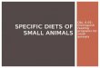 Obj. 6.02: Distinguish feeding programs for small animals SPECIFIC DIETS OF SMALL ANIMALS