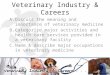 Veterinary Industry & Careers A.Discuss the meaning and importance of veterinary medicine B.Categorize major activities and health care services provided