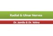 Radial & Ulnar Nerves Dr. Jamila & Dr. Vohra. At the end of the lecture, students should be able to: At the end of the lecture, students should be able