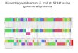 Dissecting virulence of E. coli O157:H7 using genome alignments