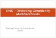 Testing Foods for Introduced Genes GMO—Detecting Genetically Modified Foods