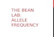 THE BEAN LAB: ALLELE FREQUENCY. THE BEAN ALLELE FREQUENCY LAB Purpose: The following pictures are a guide to show one example of how the allele frequency