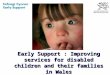 Early Support : Improving services for disabled children and their families in Wales