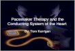 Pacemaker Therapy and the Conducting System of the Heart By: Tom Kerrigan