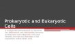 Prokaryotic and Eukaryotic Cells A multimedia presentation to illustrate the differences and similarities between prokaryotic and eukaryotic cells and