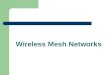 Wireless Mesh Networks. Introduction Wireless mesh network architecture Why Wireless mesh network? When Wireless mesh networks? Routing background Problems