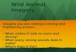 Wild Animal Imagery Imagine you are making a strong and frightening animal… What makes it look so scary and strong? What makes it look so scary and strong?