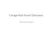 Congenital heart Diseases Ahmad Osailan. Fetal Circulation Embryonic lungs and digestive tract are nonfunctional Respiratory functions and nutrition provided
