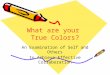 What are your True Colors? An Examination of Self and Others to Achieve Effective Collaboration