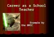 Career as a School Teacher Example by the BMIC Example by the BMIC