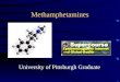 Methamphetamines University of Pittsburgh Graduate