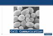 Cell Communication. Communication Between Cells 2 Yeast Cells Signaling Two mating types α cells have receptor sites for the a factor and also produce