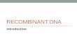RECOMBINANT DNA Introduction. Tools of Genetics: Recombinant DNA and Cloning The New Genetics pp. 38-39 Summarize: How do scientists move genes from one