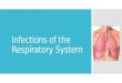 Infections of the Respiratory System. Why is this system important?  The respiratory system is the most commonly infected system  Health care providers