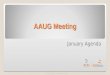 AAUG Meeting © ACGI Software. All Rights Reserved. January Agenda