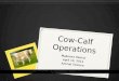 Cow-Calf Operations Makenna Ramos April 10, 2012 Animal Science