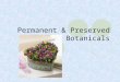 Permanent & Preserved Botanicals. Advantages to Permanent & Preserved Botanicals Made prior to sale Store easily No water Container Time Stem length No