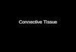 Connective Tissue. Types of Connective Tissue Osseous Tissue (Bone Tissue) Loose Connective Tissue –Areolar Tissue –Adipose Tissue –Reticular Connective