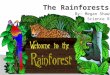 By: Megan Shaw Science 8. Index: Animals Macaw Tree frog Capybara Pictures fun facts Kinds of rainforests How much rain is in a rainforest Rainforest