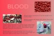 Blood makes up around 7% of the weight of a human body. Blood contains red blood cells, white blood cells and platelets. These blood cells float in a yellow