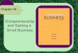 * Entrepreneurship and Starting a Small Business Chapter 06