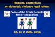 Regional conference on domestic violence legal reform 12.-14. 2. 2008, Sofia Police of the Czech Republic Brno Headquarters