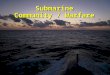 Submarine Community / Warfare Submarine. Becoming a Submariner Force Structure Missions Submarine Officer Career Path Becoming a Submariner Force Structure