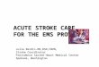 ACUTE STROKE CARE FOR THE EMS PROVIDER Julie Berdis-RN,BSN,CNRN, Stroke Coordinator Providence Sacred Heart Medical Center Spokane, Washington