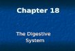 Chapter 18 The Digestive System. General info: General info: Basic “tube-within-a-tube” Basic “tube-within-a-tube” Digestion by mechanical & chemical