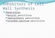 Inhibitors of Cell Wall Synthesis Penicillin Natural penicillins Semisynthetic penicillins Extended-spectrum penicillins