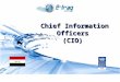 1 MODULE 2 Strategic and Operational Management in Public Sector Chief Information Officers (CIO)