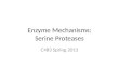 Enzyme Mechanisms: Serine Proteases C483 Spring 2013