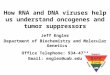 How RNA and DNA viruses help us understand oncogenes and tumor suppressors Jeff Engler Department of Biochemistry and Molecular Genetics Office Telephone: