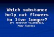 Which substance help cut flowers to live longer? By: Jonathan Valenzuela, Andy Fuentes