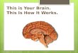This is Your Brain. This Is How It Works. . Parts of the brain: Keep in mind there are two distinct sides with different functions