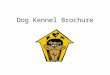 Dog Kennel Brochure. You will be creating a brochure to advertise your Dog Kennel. You “design” puppies using your knowledge of genetics and patterns