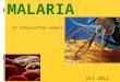 Oct 2012 Dr.kibruyisfaw zewdie. Introduction To Malaria  Malaria is an acute and chronic illness characterized by paroxysms of fever, chills, sweats,