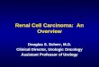 Renal Cell Carcinoma: An Overview Douglas S. Scherr, M.D. Clinical Director, Urologic Oncology Assistant Professor of Urology