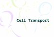 Cell Transport. Maintaining Balance Homeostasis – process of maintaining the cell’s internal environment Cannot tolerate great change Boundary between