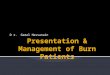 D r. Gamal Hassanain. Content Introduction Estimate of burn size Classification Management Complications Pathophysiology