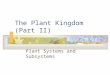 The Plant Kingdom (Part II) Plant Systems and Subsystems