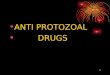 1 ANTI PROTOZOAL DRUGS. INTRODUCTION They are eukaryotes and have metabolic processes closer to those of human host. Protozoal infections are common among