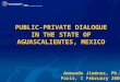 PUBLIC-PRIVATE DIALOGUE IN THE STATE OF AGUASCALIENTES, MEXICO Armando Jiménez, Ph.D Paris, 1 February 2006