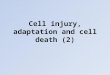 Cell injury, adaptation and cell death (2). Causes of cell injury Hypoxia (oxygen deprivation) Occurs due to Loss of blood supply - Ischaemia Inadequate