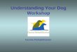 Understanding Your Dog Workshop Canine Rehabilitation