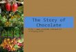 The Story of Chocolate 