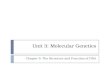 Unit 3: Molecular Genetics Chapter 5: The Structure and Function of DNA
