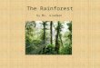 The Rainforest by Ms. Gladman. Rainforests are all over the world
