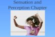 Sensation and Perception Chapter. Sensation Introduction